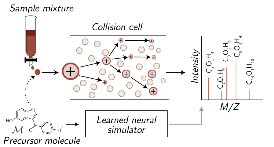 Precursor molecule through a collision cell to a learned neural simulator predicting the mass spectrum